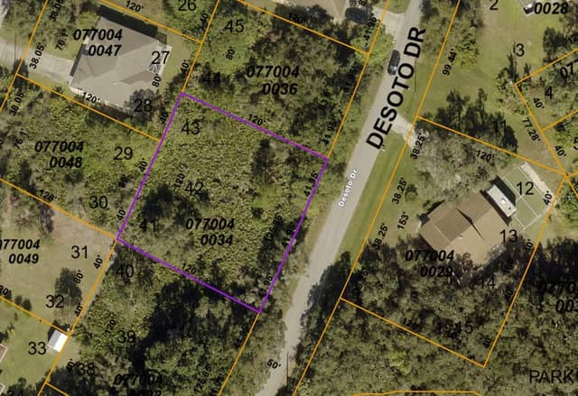 0770040034 DESOTO DR photo