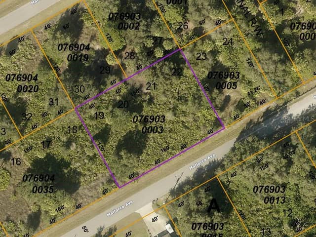 LOTS 19 20 21 & 22 MALLORCA AVE photo