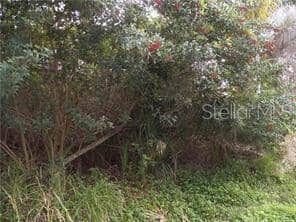 GENEVA RD photo