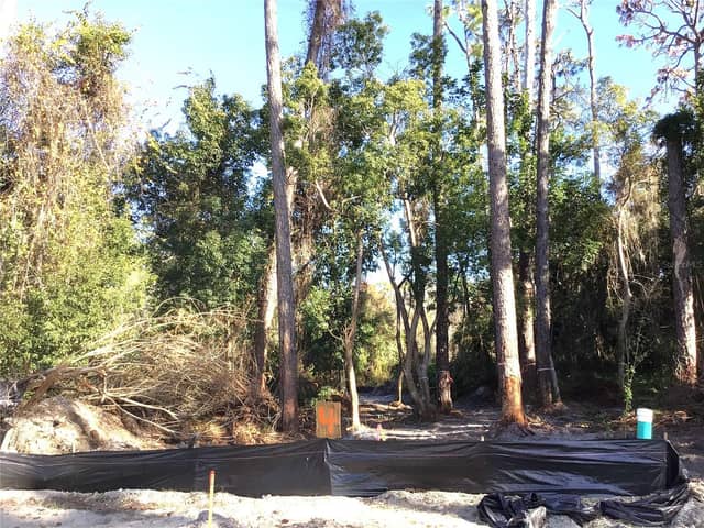 1305 ALMARIA CT photo