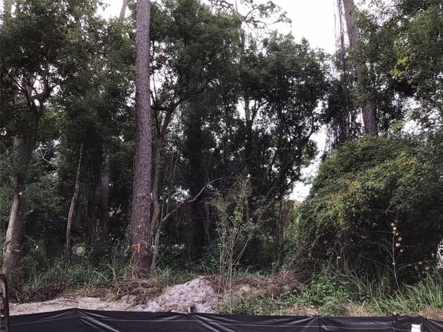 1294 ALMARIA CT photo
