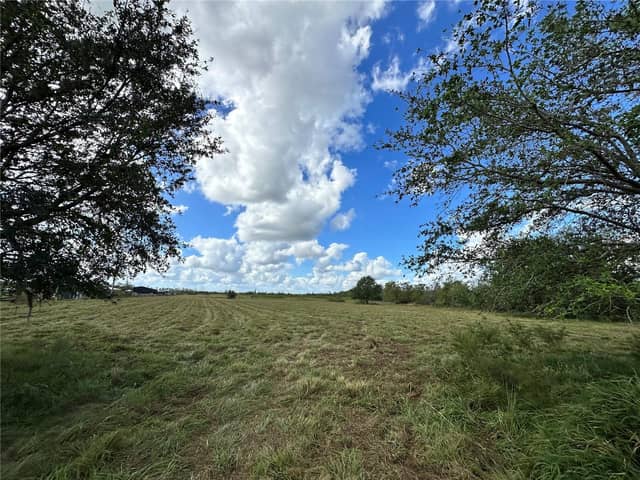 WAUCHULA RD photo