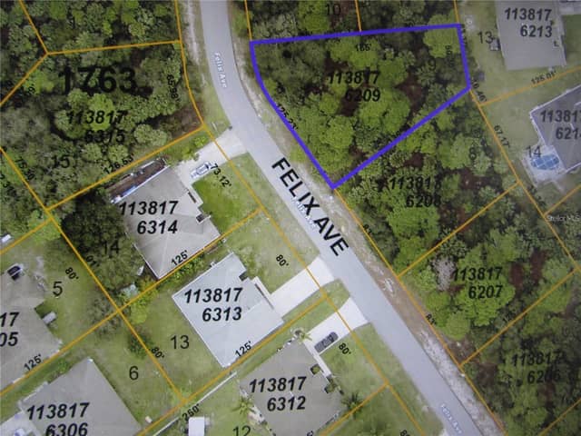 FELIX AVE photo