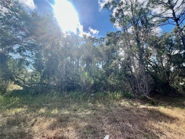 Lot 8 ABBEVILLE RD photo