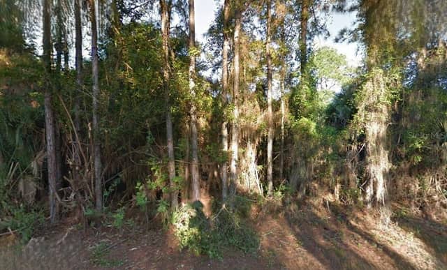 LUTZ RD photo