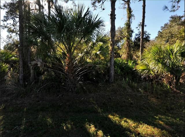 LOT 17 RUIZ ST photo