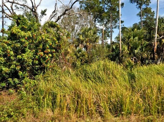 FIREBIRD RD photo