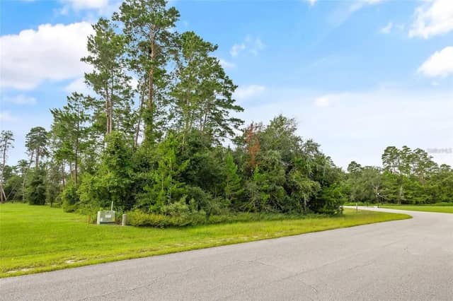 13615 GOPHER POND CT photo