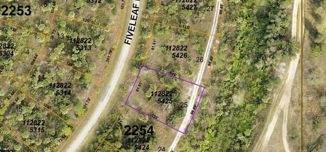 FIVELEAF RD photo