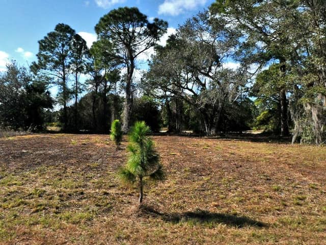 LONGFELLOW LN photo