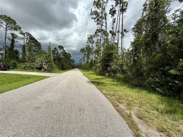 DRAGONFLY AVE photo