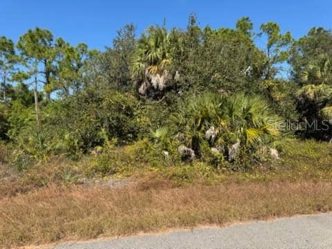 LOT 2 MATTOX CIR photo
