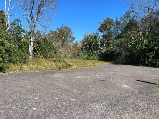 4715 SALVIA ST photo