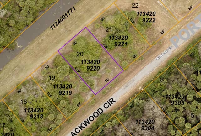 1134209220 BLACKWOOD CIR photo