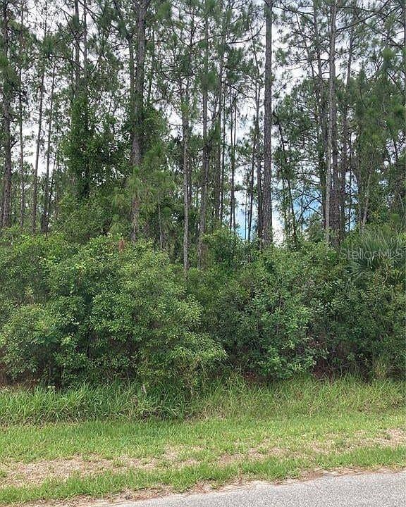 BRISTOL AVE #LOT 21 photo