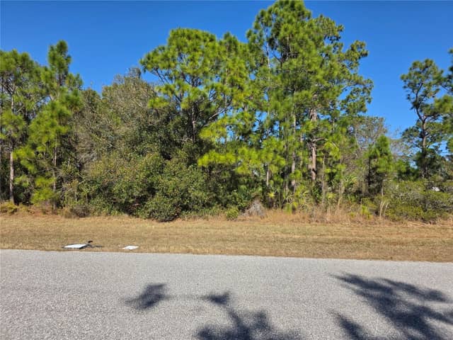 HORNBUCKLE BLVD photo