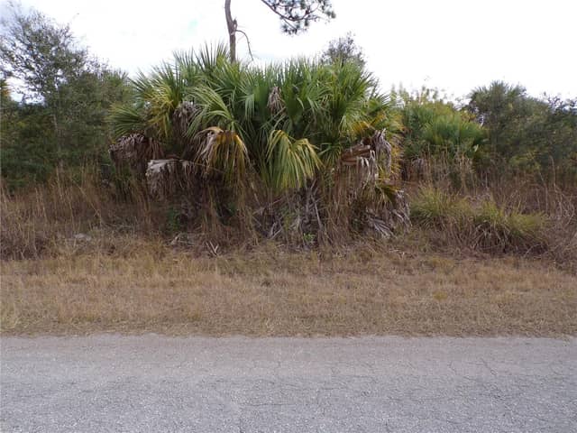 SILVERLEAF RD photo
