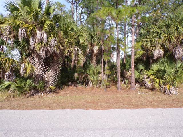 EVANGELINA LN photo