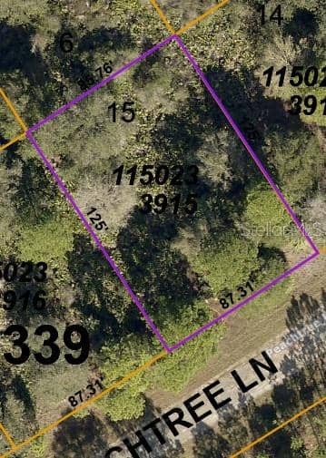 LOT 15 PEACHTREE LN photo