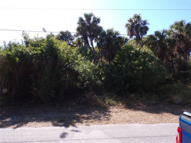 ALBATROS LN photo