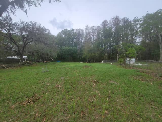 11641 BRUIN DR photo