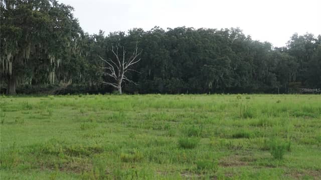 DURANT RD photo