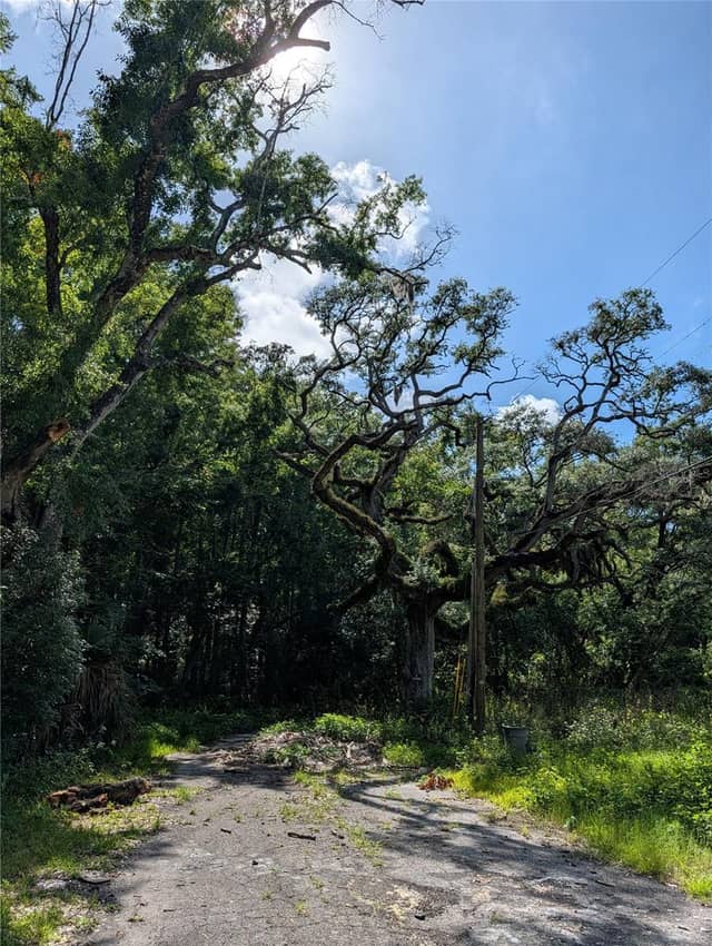 TBD KIOWA photo