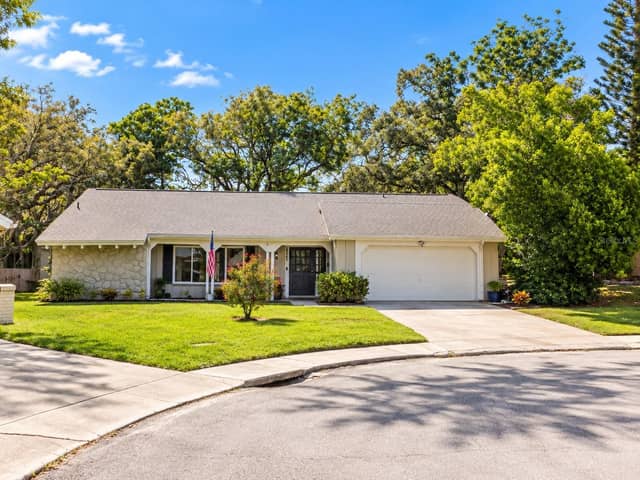 8020 HUNTERS WHIP ROW photo
