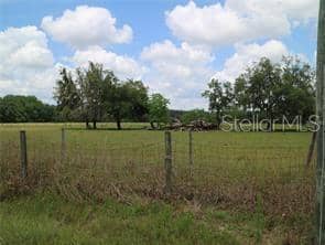 11819 TARPON SPRINGS RD photo