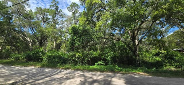 15621 DAYBREEZE DR photo