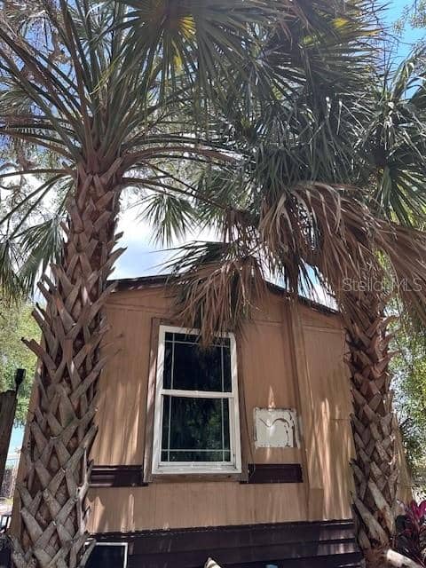 6631 CELESTE LN photo