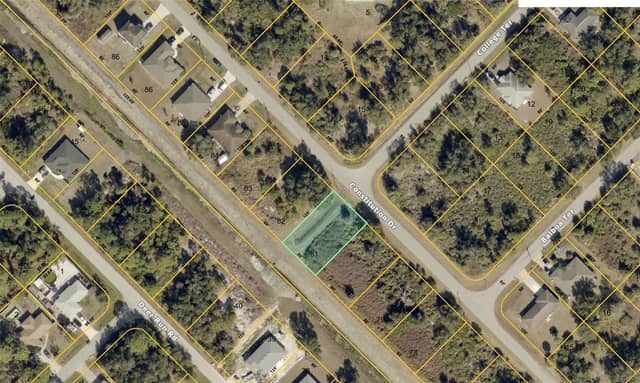 CONSTITUTION DR photo
