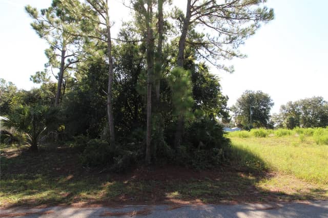 CHAMRADE RD photo