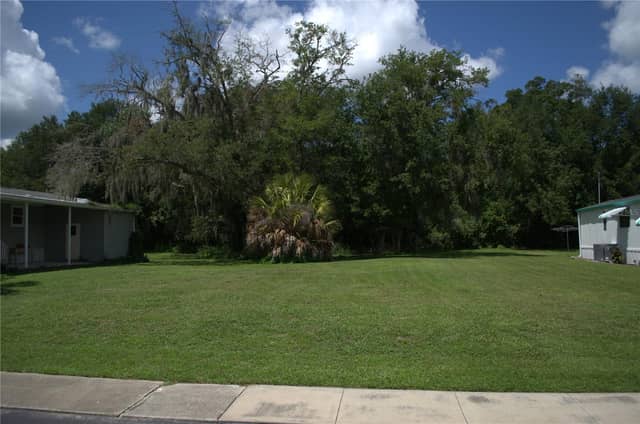 MULLER DR photo