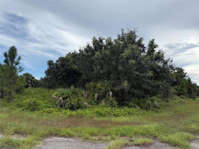 Lot 1 GASKINS CIR photo