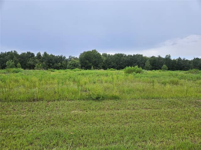 8881 VALERIE CT photo