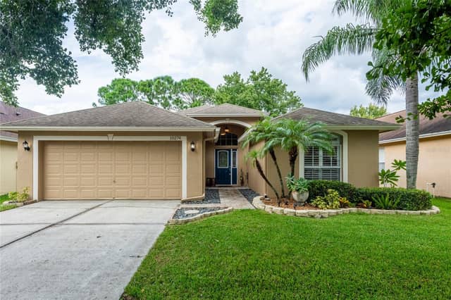 10274 OASIS PALM DR photo