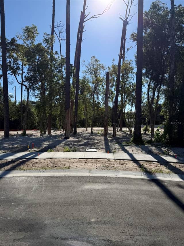 1302 ALMARIA CT photo