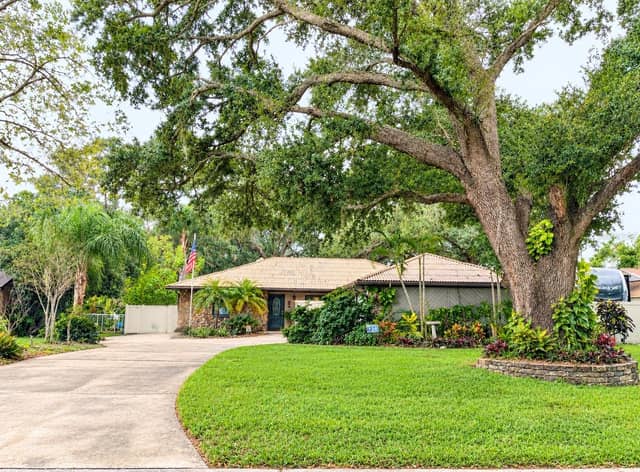 329 HOLLOWTREE DR photo