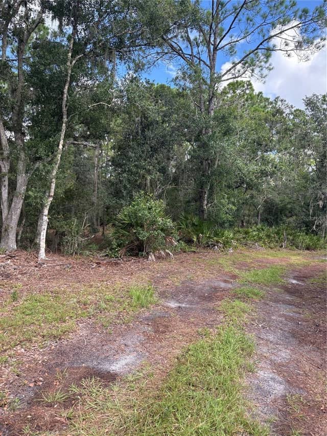 5010 WAUCHULA RD photo