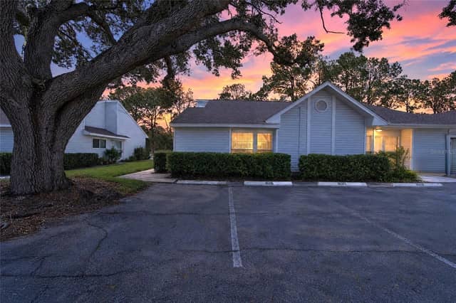 16216 RAMBLING VINE DR W photo